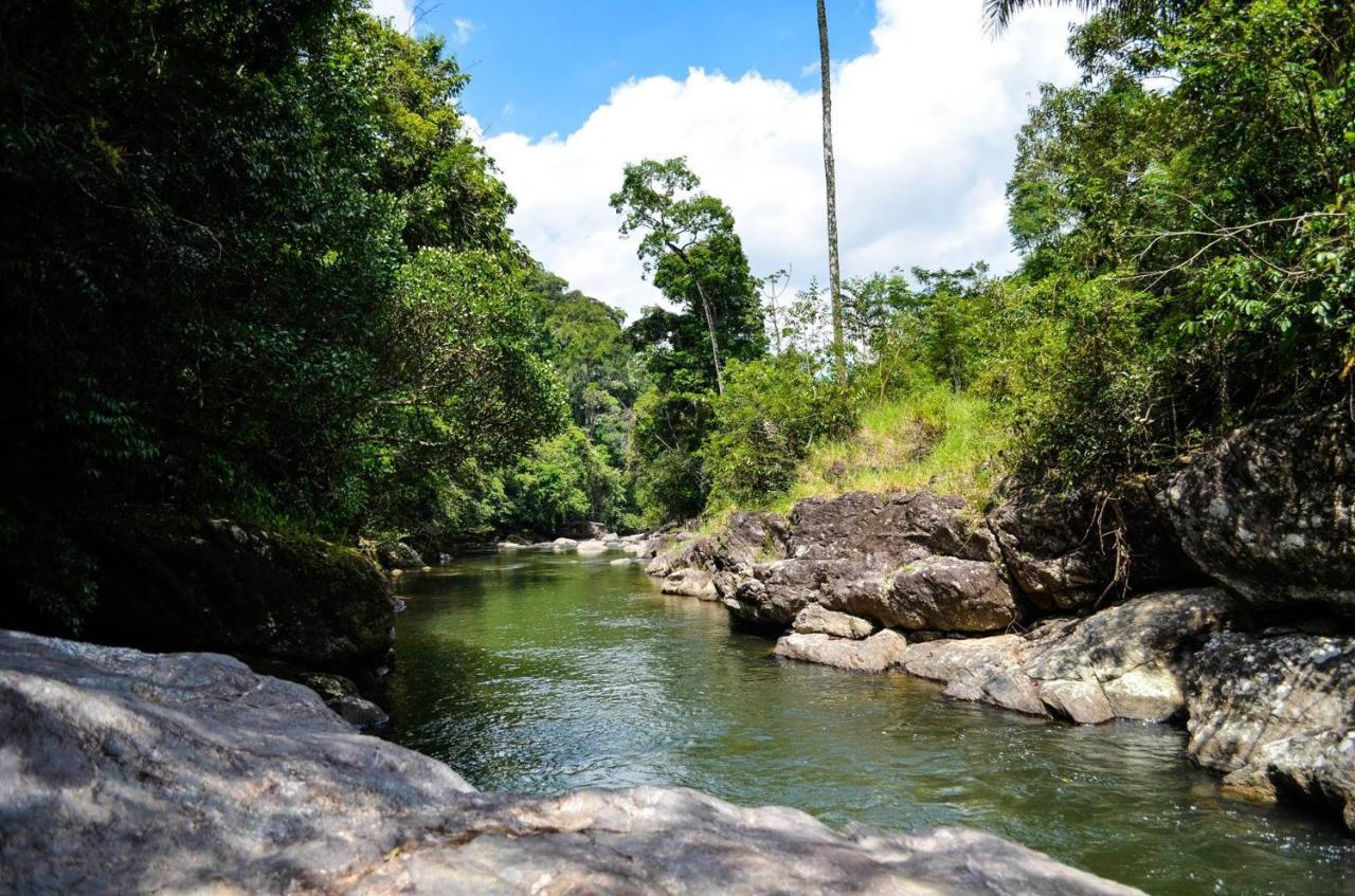 Sitio Flor Das Aguas Lumiar Eksteriør bilde